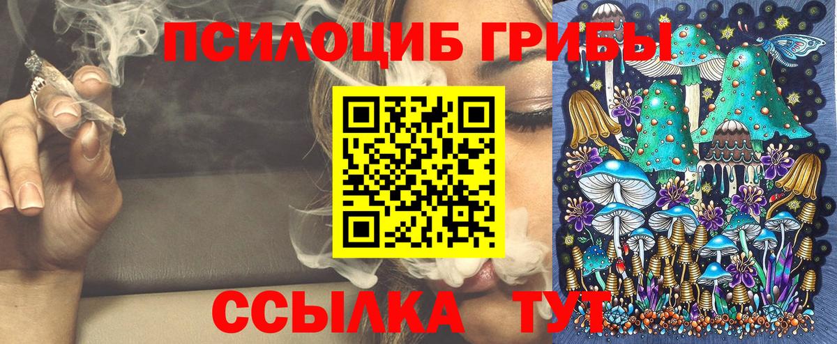 Галлюциногенные грибы MAGIC MUSHROOMS Тверь