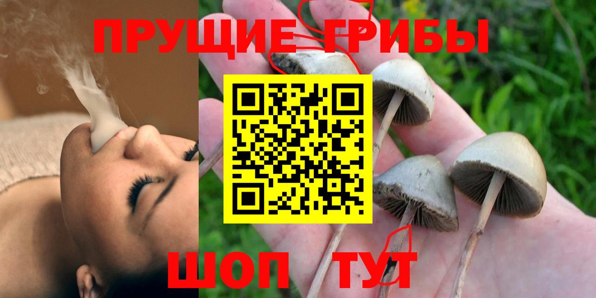 Галлюциногенные грибы мицелий  Галлюциногенные грибы Psilocybe  купить  сайты  Вход с VPN  Тверь 